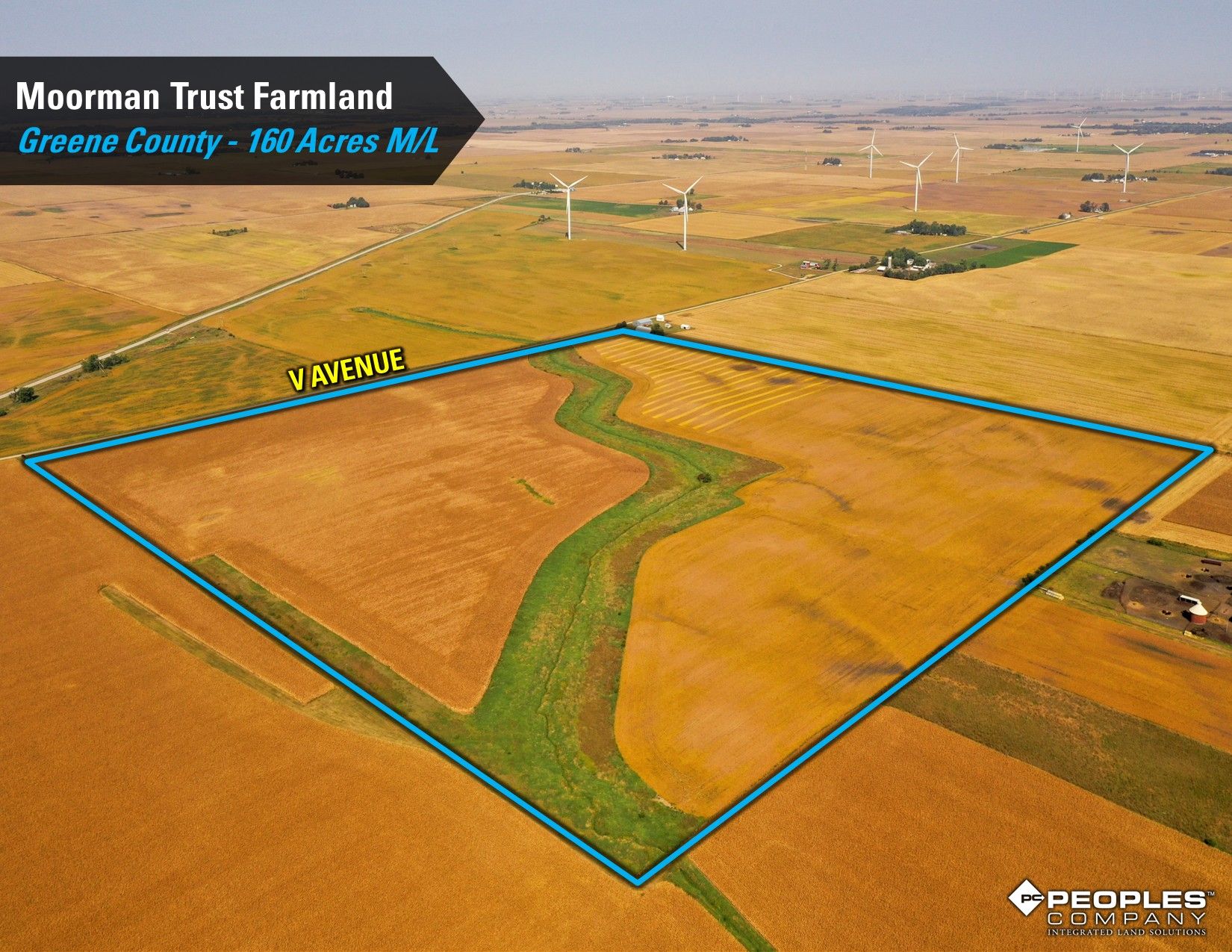 Listing Photo: Greene-County-Iowa-Farmland-Auction-160-Acres-Moorman-Rippey-IA-18618 (6)